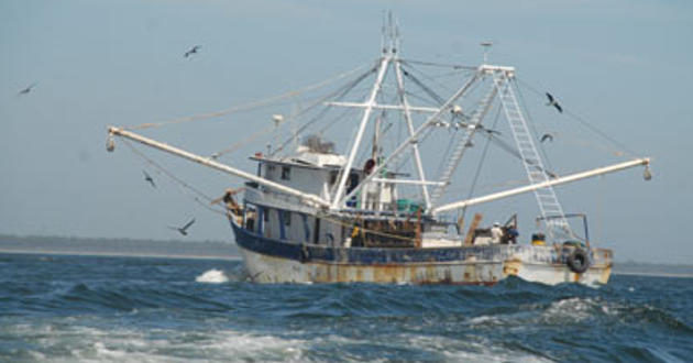 Inspectores SAGARPA roban camarón a pescadores en Nayarit