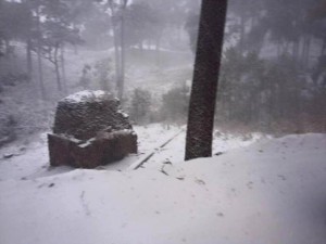 09.03.16 nevada en la sierra de nayarit
