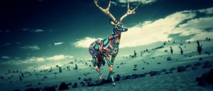21.03.16 venado huichol y desierto